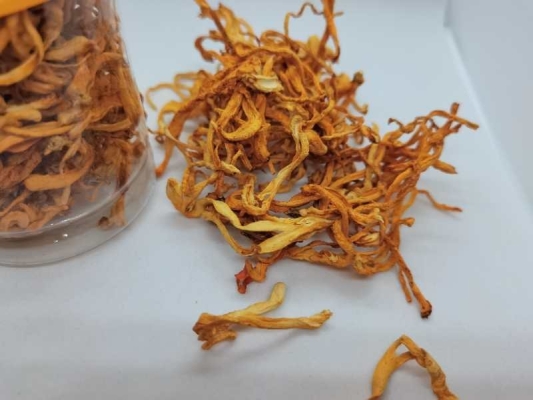 赤峰花膠回收電話號碼查詢地址-第1張圖片