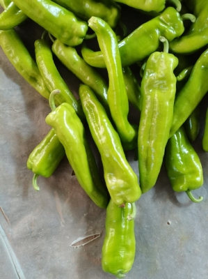 赤峰新新蔬菜批發(fā)電話多少-第1張圖片