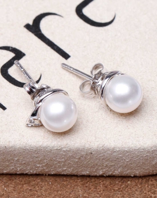 赤峰銀珍珠耳釘?shù)甑刂冯娫捥?hào)碼-第1張圖片