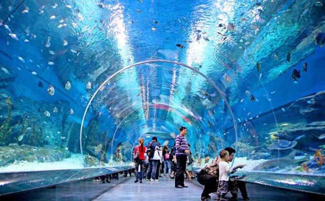 赤峰市摔跤場館團(tuán)購電話號碼-第1張圖片