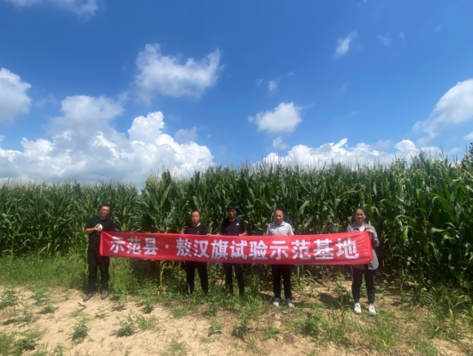 赤峰附近收玉米粒的電話(huà)號(hào)碼-第1張圖片