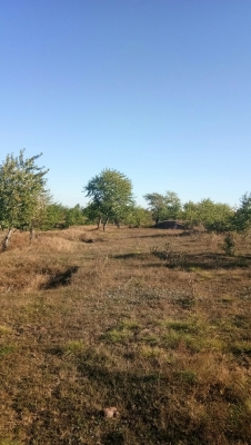 赤峰寧城搬家電話多少號碼-第1張圖片