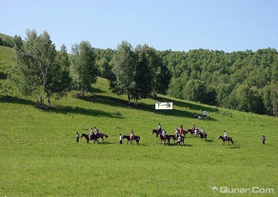赤峰樂美寵物店地址電話號碼-第1張圖片