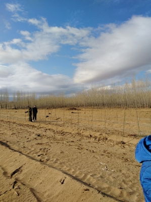 赤峰市林西水電站電話號(hào)碼-第1張圖片