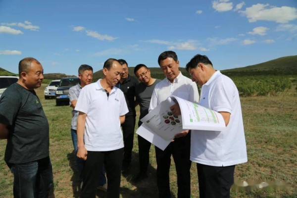 赤峰康同肉業(yè)招聘電話地址查詢-第1張圖片