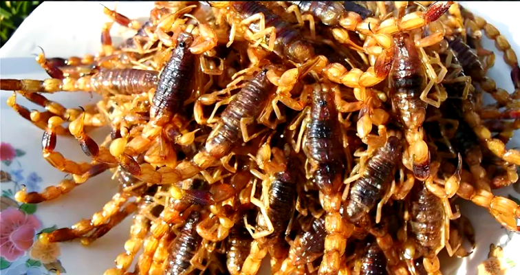 赤峰養(yǎng)蝎基地地址電話是多少號(hào)-第1張圖片