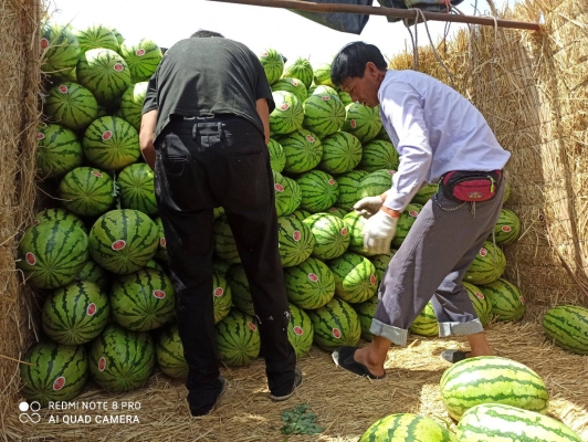 赤峰西瓜代辦網(wǎng)點(diǎn)電話是多少號(hào)-第1張圖片