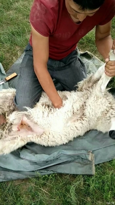 赤峰到東烏旗配貨站電話多少-第1張圖片