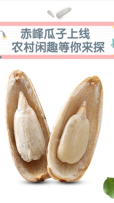 赤峰瓜子買賣平臺電話是多少號-第1張圖片