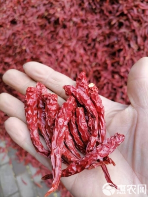 赤峰高香批發(fā)電話號(hào)碼多少-第1張圖片