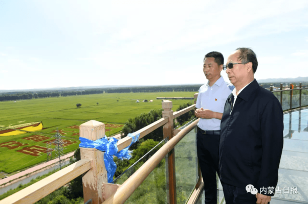 赤峰大地香菜種植基地電話號碼-第1張圖片