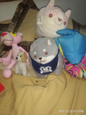 赤峰寵物毛絨玩具店電話號碼-第1張圖片