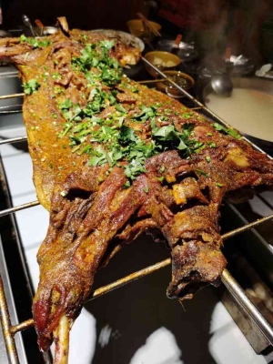 赤峰山莊農(nóng)家樂(lè)燒烤電話號(hào)碼-第1張圖片