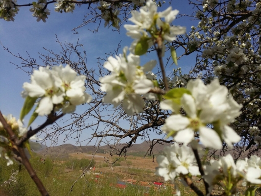 赤峰喀喇沁收費(fèi)站電話號(hào)碼-第1張圖片