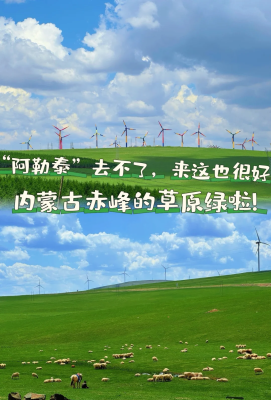 赤峰崔師傅辣串店電話地址查詢-第1張圖片