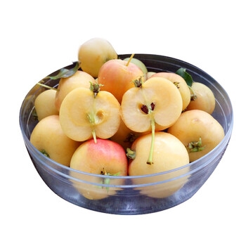 赤峰海棠果干批發(fā)電話多少號-第1張圖片