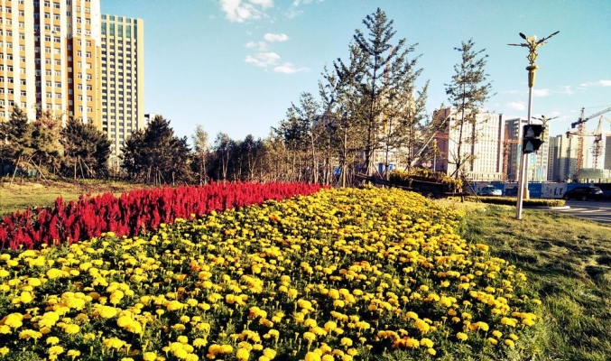 赤峰園林工程有限公司電話號(hào)碼-第1張圖片