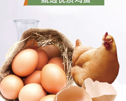 赤峰寵物狗糧廠家電話號(hào)碼-第1張圖片