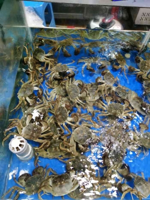 阿峰海鮮赤峰店電話號(hào)碼多少-第1張圖片