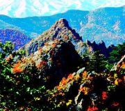 赤峰林東鞭炮廠電話地址查詢-第1張圖片