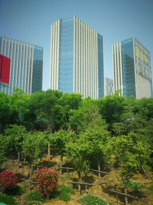 赤峰市紅山區(qū)家政電話號碼-第1張圖片