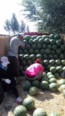 赤峰市木頭溝鄉(xiāng)政府電話號(hào)碼-第1張圖片