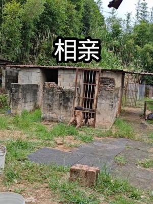 赤峰狗場(chǎng)招人電話(huà)地址是多少號(hào)-第1張圖片