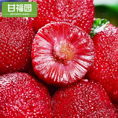 赤峰冰凍楊梅批發(fā)電話號碼查詢-第1張圖片