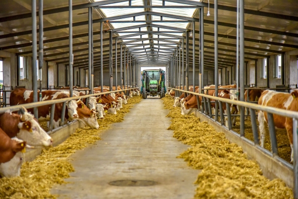 赤峰西漠飼料廠地址電話號(hào)碼-第1張圖片