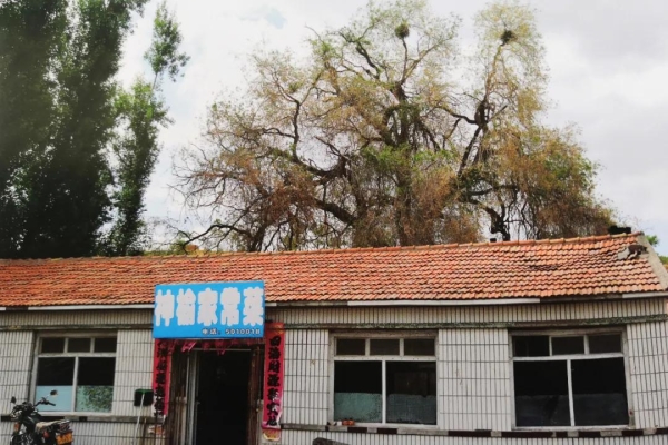 赤峰櫻桃溝考場地址電話號碼-第1張圖片