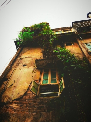 赤峰市解憂小鋪電話號碼查詢-第1張圖片