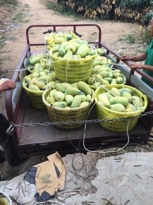 烏海到赤峰拉煤的車電話號碼-第1張圖片