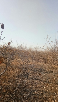 赤峰乃林中昊加油站電話號碼-第1張圖片
