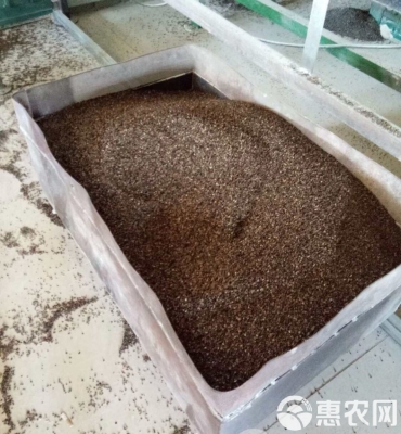 赤峰散裝蕎麥殼批發(fā)電話號(hào)碼-第1張圖片