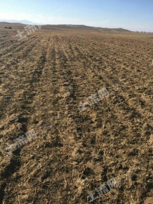 赤峰種植土廠家電話(huà)號(hào)碼查詢(xún)-第1張圖片