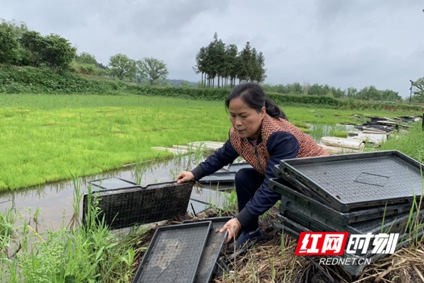 赤峰三眼井大棚飯店電話號碼-第1張圖片