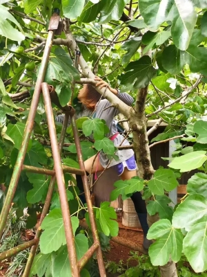 赤峰機(jī)場(chǎng)路養(yǎng)蜂場(chǎng)電話號(hào)碼-第1張圖片