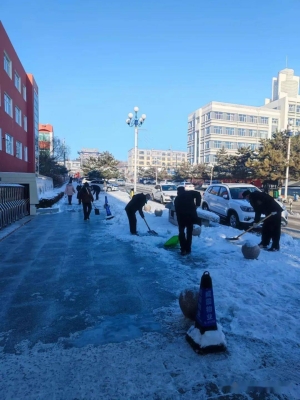 赤峰林東貓咪養(yǎng)殖基地電話號碼-第1張圖片