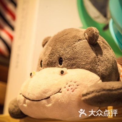 赤峰出售寵物店電話號碼多少-第1張圖片