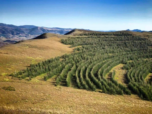 赤峰鄰客大藥房電話多少號-第1張圖片