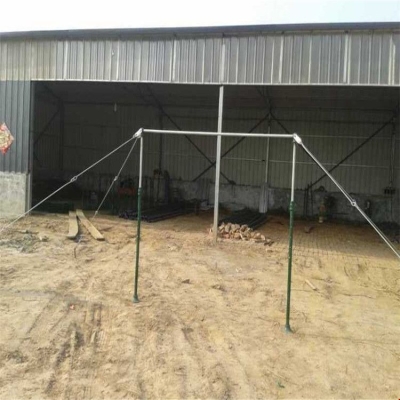 赤峰油葵收購廠家電話號(hào)碼-第1張圖片