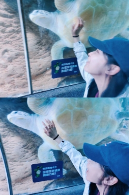 赤峰萬悅水族館拍照電話號(hào)碼-第1張圖片