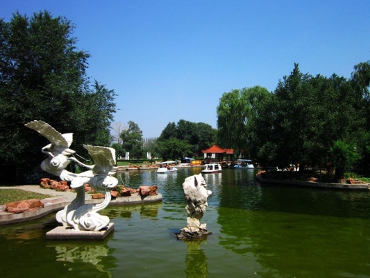 赤峰烤肉植物園電話多少號-第1張圖片