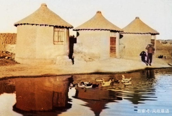 赤峰賣防老鼠糧倉電話是多少號-第1張圖片