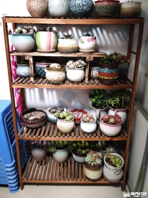 赤峰二手花架清倉處理電話號碼-第1張圖片