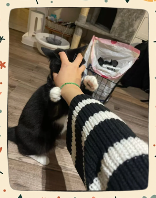 赤峰尋寵團(tuán)隊(duì)電話號(hào)碼查詢是多少-第1張圖片