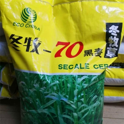 赤峰蘇丹草種子公司電話號碼-第1張圖片