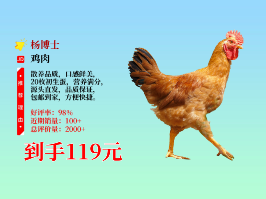 赤峰冷藏小公雞批發(fā)電話地址-第1張圖片