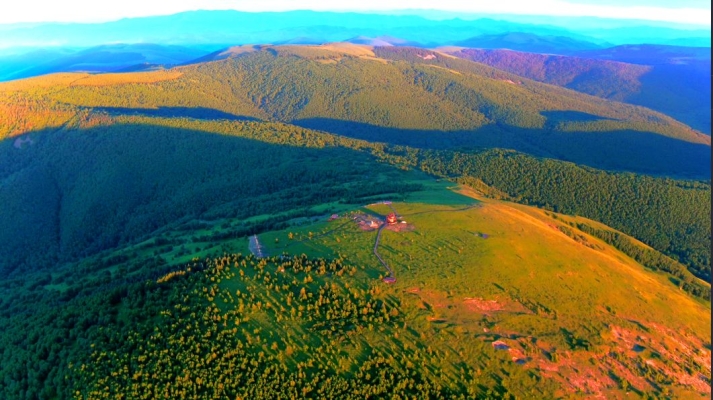 赤峰大柴木頭廠電話多少號(hào)-第1張圖片