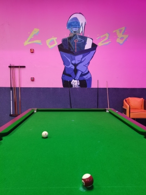 赤峰臺球輪滑培訓(xùn)班電話號碼-第1張圖片